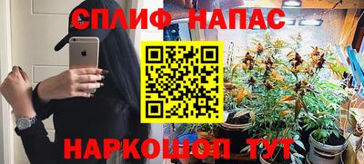 молекула духа Донецк