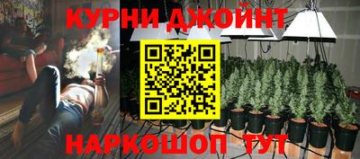 молекула духа Донской