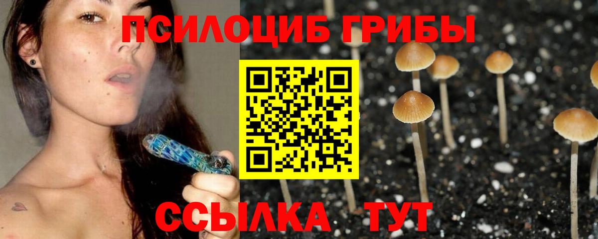 Псилоцибиновые грибы Psilocybe Карталы