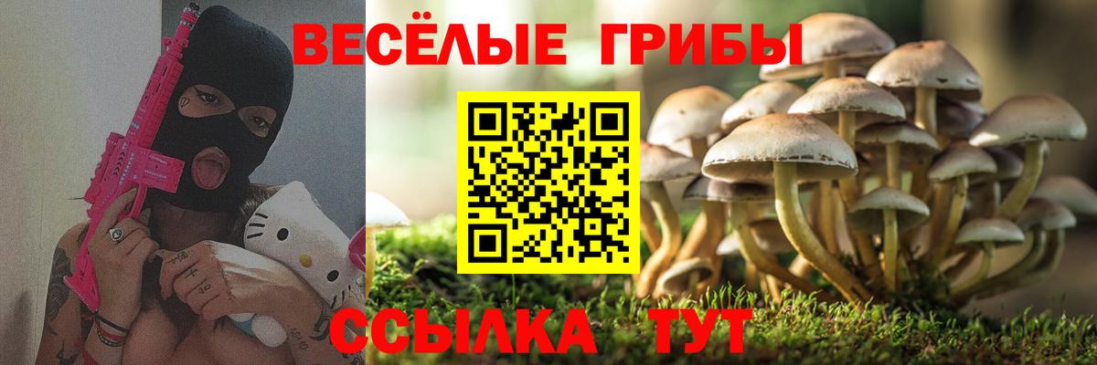 Карталы  Псилоцибиновые грибы мухоморы  Вход с VPN 
